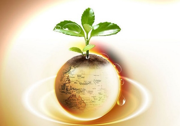 美联储或将再度进入“观望式降息”